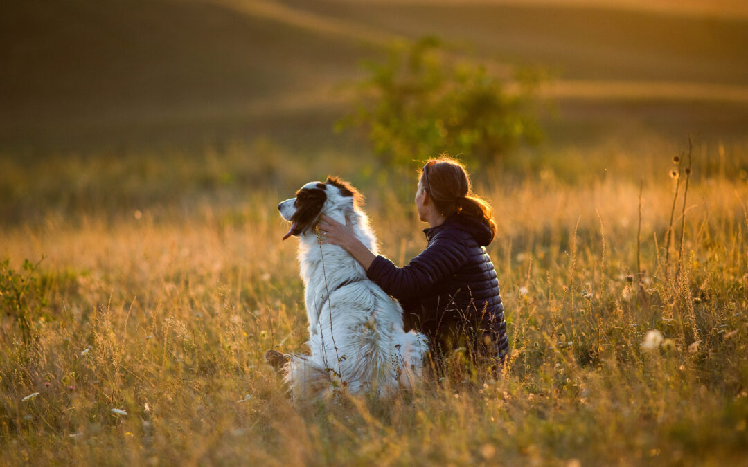 SNSE® Positives Selbstbild 