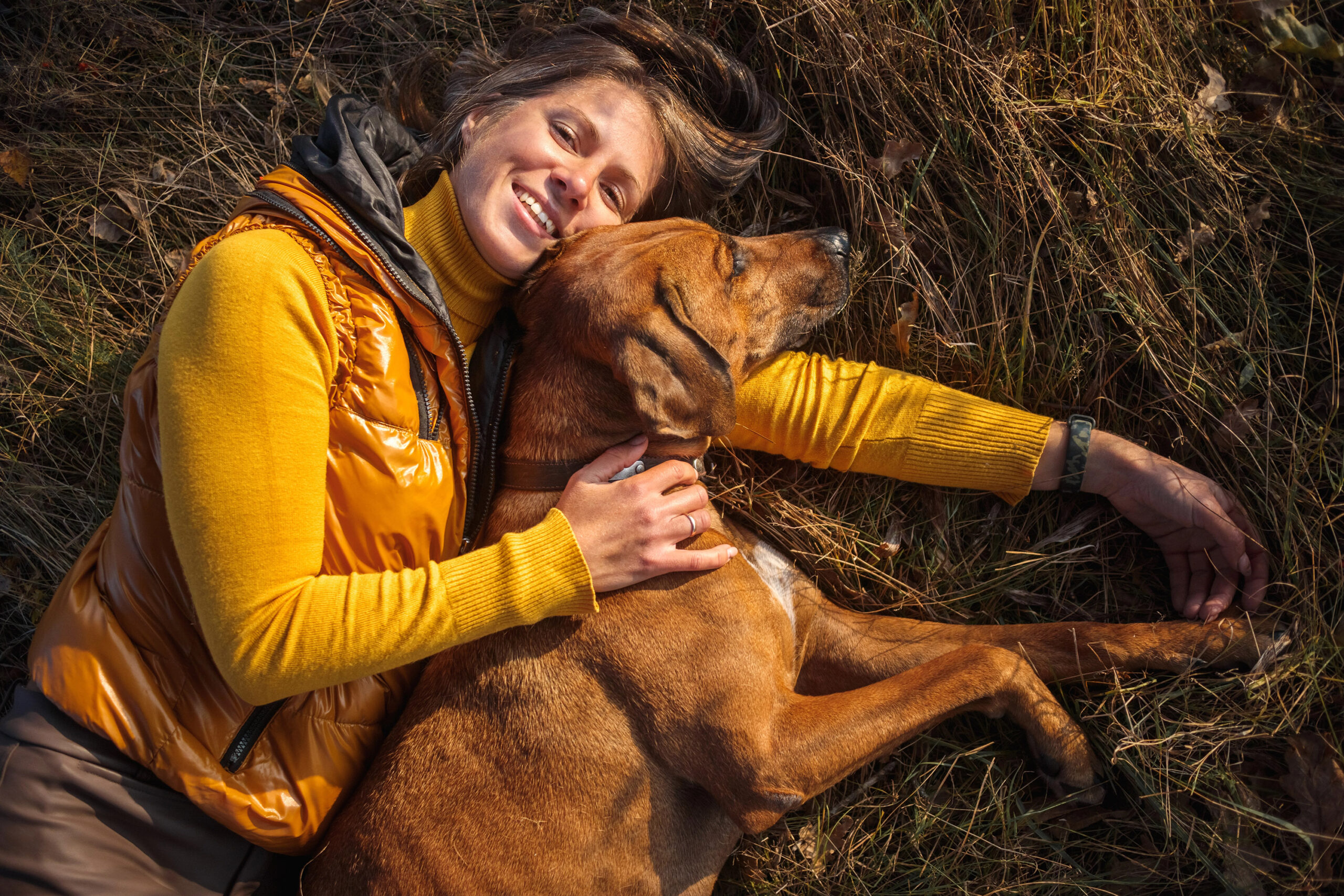 Silva Sense Companions, Nervensysteminformiertes Coaching, Stressregulation & bindungsorientiertes Hundetraining, ESA-Hund Ausbildung. Mindful Leadership für Mensch und Hund nach SNSE™