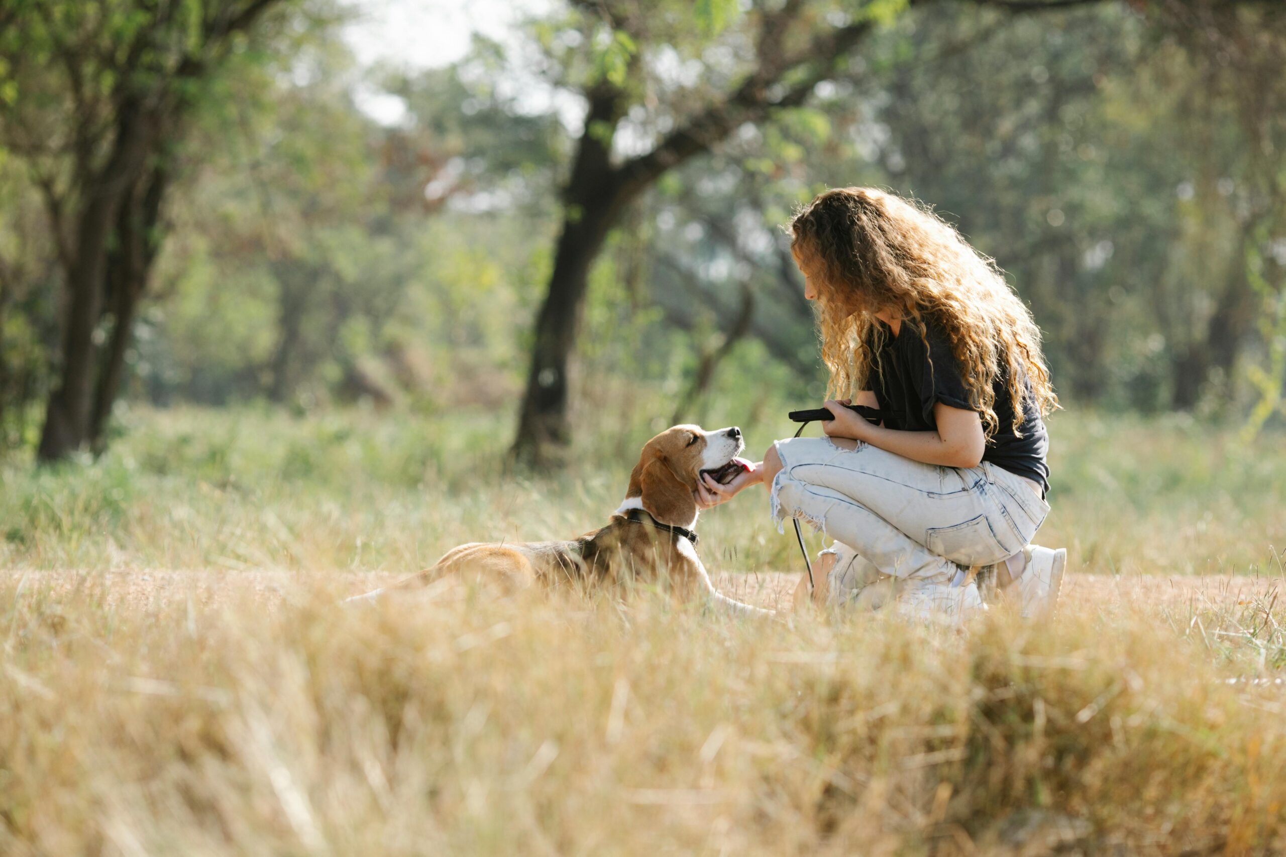Achtsames Hundetraining, Self-Empowerment coaching, EMDR Power, Recovery Coaching, Emotionale Balance, Resilient, Emotional Support Dogs, ESA Hund, Mensch mit Hund, Mindful Leader, Selbstkompetenz, innere Stärke, Stress regulieren, Mindful Training, Coaching, Recovery für Balance mit Hund, Mindful Companionship Training, Silva Sense, Mindful Companions, ganzheitliche Begleitung, Holistic Guidance, Führung