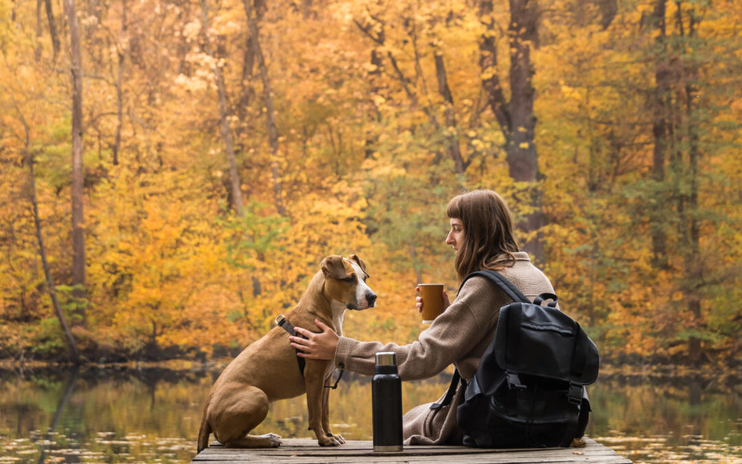 SNSE® Was zeichnet einen Mindful Leader aus?