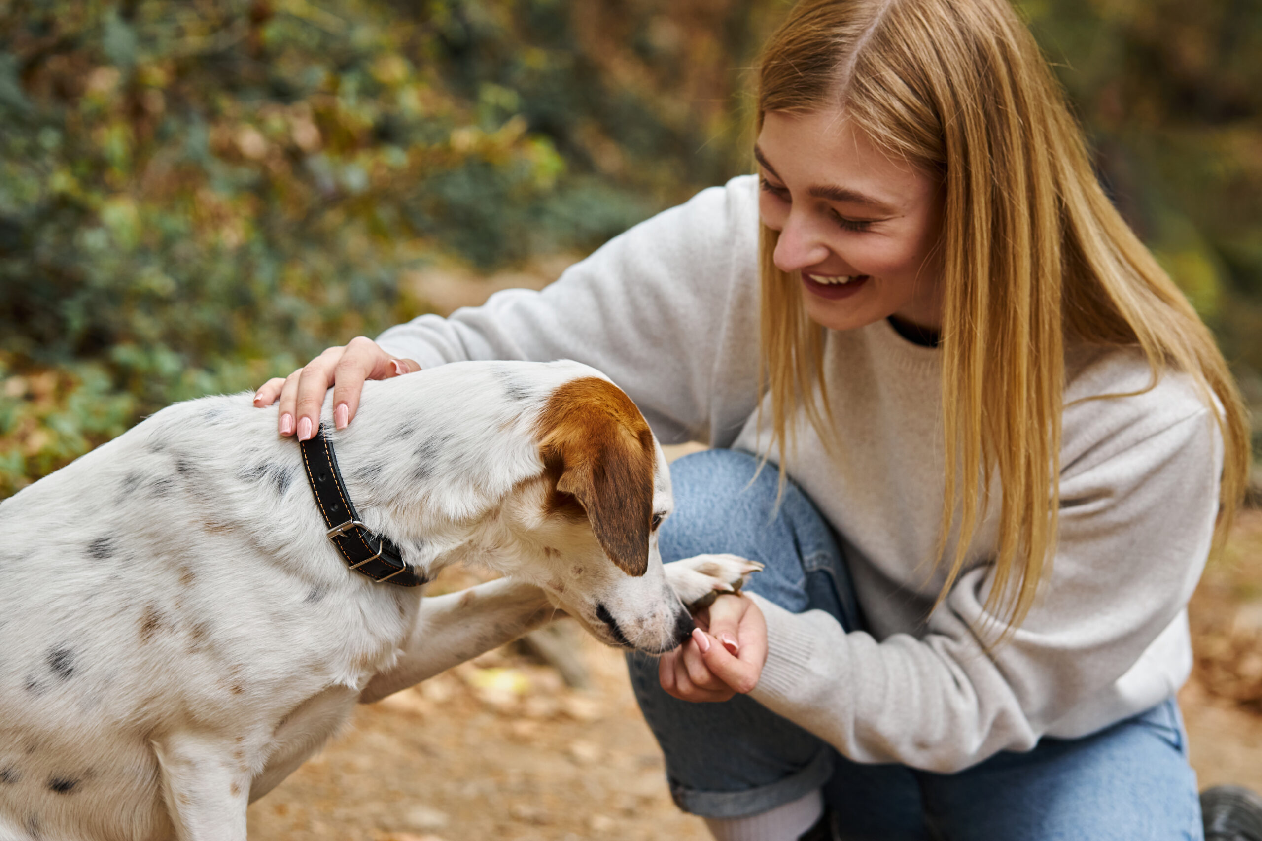 Silva Recovery Coaching mit Silva Star Emotional Support Dogs Silva Recovery Coaching mit Silva Star Emotional Support Dogs, Achtsames Hundetraining, Self-Empowerment Coaching, EMDR Power, Recovery Coaching, Emotionale Balance, Resilienz, Emotional Support Dogs, ESA-Hund, Mensch und Hund, Mindful Leader, Selbstkompetenz, Innere Stärke, Stress regulieren, Selbstregulation, Co-Regulation mit Hunden, Emotionsregulation, Mindful Training, Coaching, Recovery für Balance mit Hund, Mindful Companionship Training, Silva Sense, Mindful Companions, Ganzheitliche Begleitung, Holistic Guidance, Achtsame Führung, Mindful Leadership, Mindful Experiences in the Forest