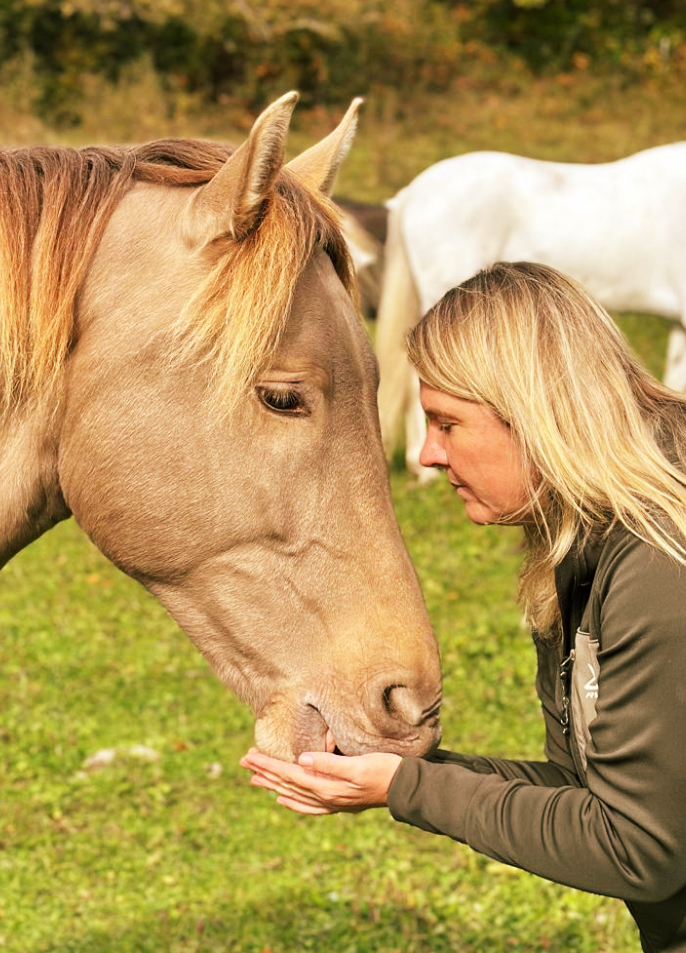 Silva Equine Sense_2