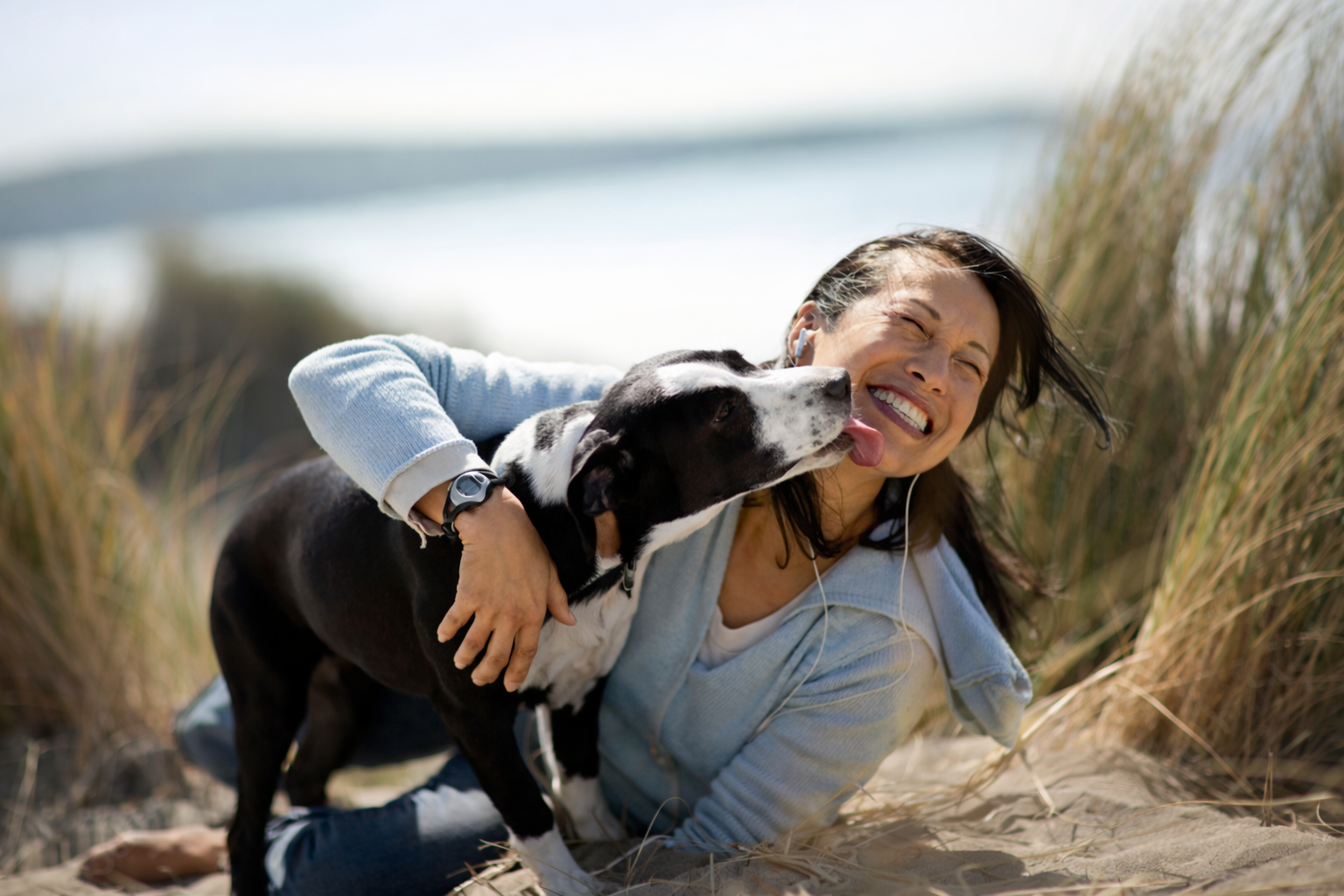 Silva Recovery Coaching mit Silva Star Emotional Support Dogs, Achtsames Hundetraining, Self-Empowerment Coaching, EMDR Power, Recovery Coaching, Emotionale Balance, Resilienz, Emotional Support Dogs, ESA-Hund, Mensch und Hund, Mindful Leader, Selbstkompetenz, Innere Stärke, Stress regulieren, Selbstregulation, Co-Regulation mit Hunden, Emotionsregulation, Mindful Training, Coaching, Recovery für Balance mit Hund, Mindful Companionship Training, Silva Sense, Mindful Companions, Ganzheitliche Begleitung, Holistic Guidance, Achtsame Führung, Mindful Leadership, Mindful Experiences in the Forest