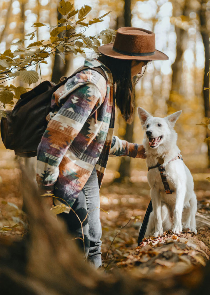 Achtsames Hundetraining, Self-Empowerment Coaching, EMDR Power, Recovery Coaching, Emotionale Balance, Resilienz, Emotional Support Dogs, ESA-Hund, Mensch und Hund, Mindful Leader, Selbstkompetenz, Innere Stärke, Stress regulieren, Selbstregulation, Co-Regulation mit Hunden, Emotionsregulation, Mindful Training, Coaching, Recovery für Balance mit Hund, Mindful Companionship Training, Silva Sense, Mindful Companions, Ganzheitliche Begleitung, Holistic Guidance, Achtsame Führung, Mindful Leadership, Mindful Experiences in the Forest